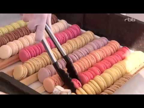 Berlin mit der S Bahn erfahren Die S1