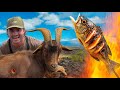 7 Day Hawaii Adventure Hunting Feral Goat Boar Fishing