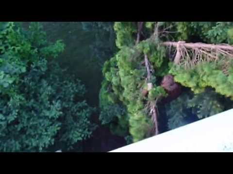 FR World Series -- Jason Paul -- Germany