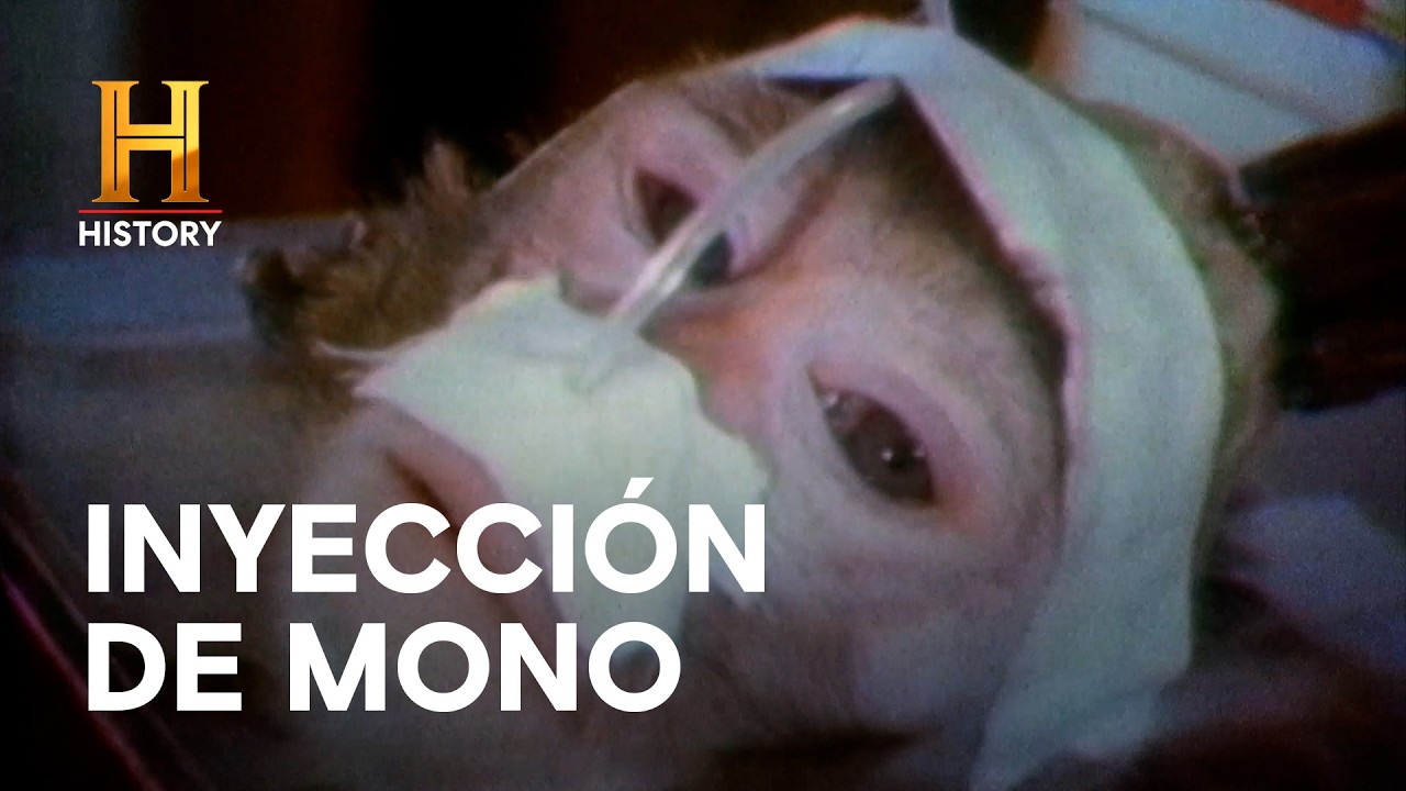 INYECCIONES LETALES: EL EXPERIMENTO DE SAN QUINTÍN ⚠️🐒 - Increíble con Dan Aykroyd