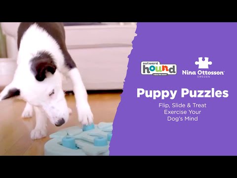 Nina Ottosson by Outward Hound Puppy Smart Interactive Dog Puzzle