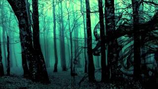 Before The Dawn - Seed