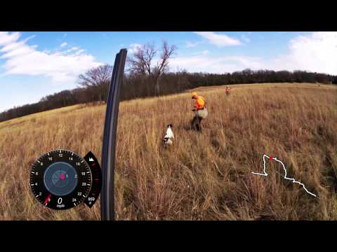 Taking the Garmin Virb Out with the Hunting Dogs