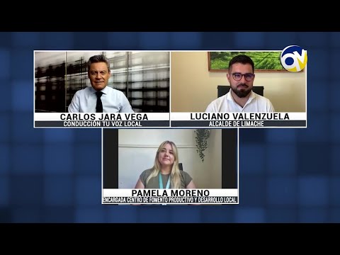 Tu voz local 15 enero 2026 / Verano 2026 en Limache