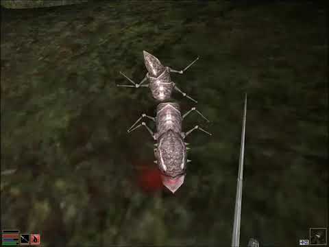 The Outlander's Guide to Morrowind - 5, Secrets Around Seyda Neen