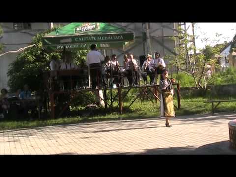 Milena Taran (Romaneste,Sarbeste) Ansamblul Profesionist Banatul Timisoara. Valy 2.avi