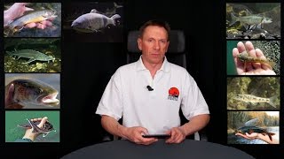 Постановление правительства о запрете рыбной ловли в пермском крае