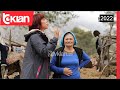 Dukat Prodhimet E Staneve Të Mrizi I Pishave Histori Shqiptare Nga Alma Çupi