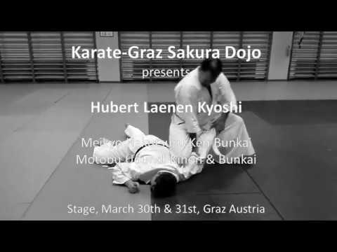 Hubert Laenen - Stage March 2019 Graz - Meikyo Bunkai