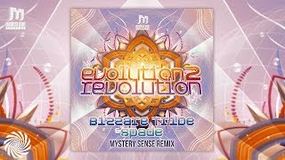 Bizzare Tribe &amp; Spade - Evolution 2 Revolution (Mystery Sense Remix)