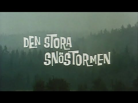 Emil van de Hazelhoeve - Aflevering 13 - De sneeuwstorm