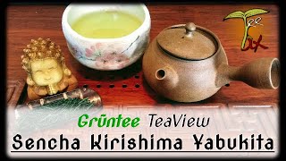 Guter GRÜNTEE für den Alltag?! | SENCHA Kirishima Yabukita im TeaView