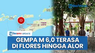 Guncangan Gempa Magnitudo 6,0 di Pulau Timor Terasa Juga di Flores, Lembata hinigga Wilayah Alor
