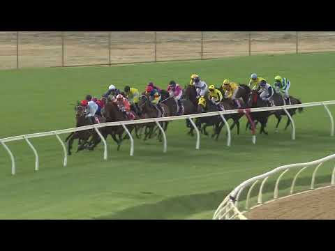 Railway Stakes 2025 - WATCH ME ROCK (3YO+ Hcp G1) Group 1 Ascot 22 November