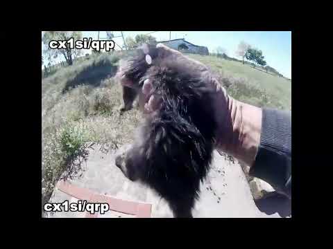 CX1SI GEO -Primer salida de Campo 2024 - Dia Radioham Mundial -19 Abril 2024 .