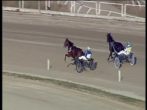 Trotto 30/12/2018 - prova di qualifica