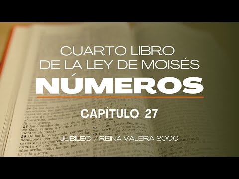 Números capítulo 27 (de 36)