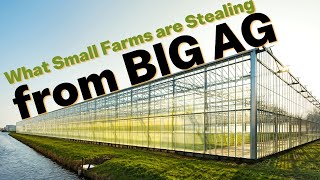 What Small Farms are Stealing from Big AG