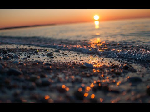 A D O R E    Y O U   REGGAE REMIX [ MAXDON x DJ WYSH ]