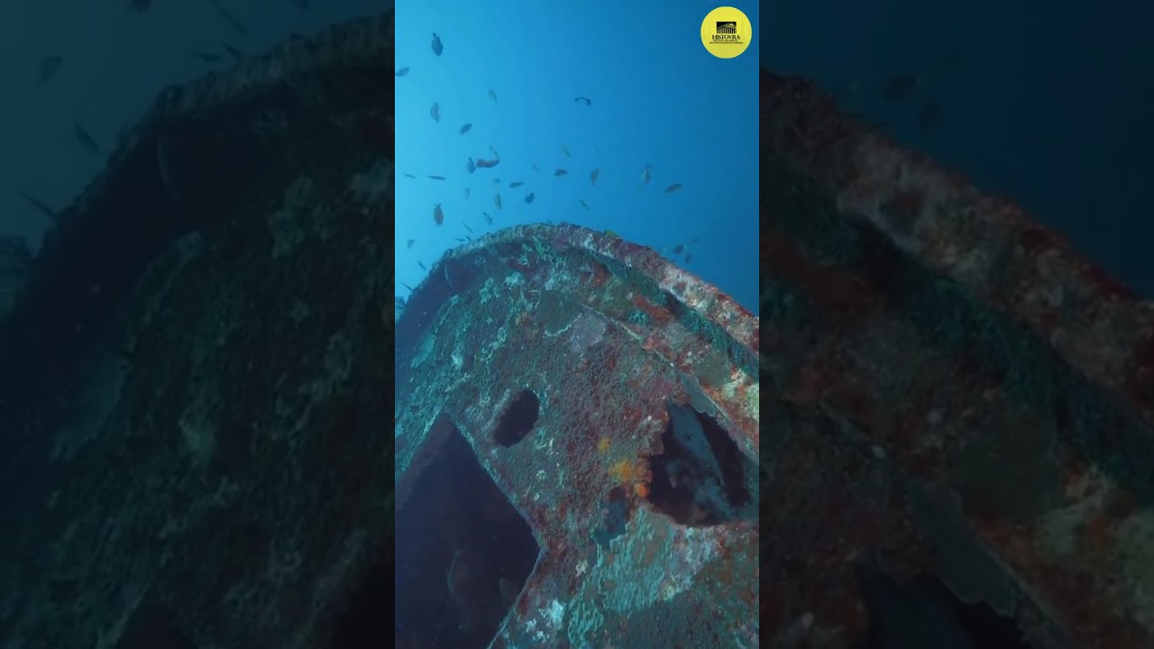 500-Year-Old Shipwreck Reveals GLOBAL Trade Secrets!