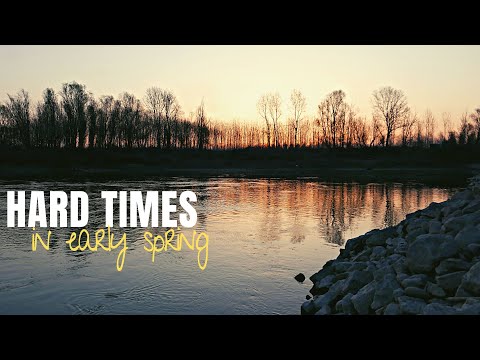 HARD TIMES Fishing for Zander and Asp in Early Spring