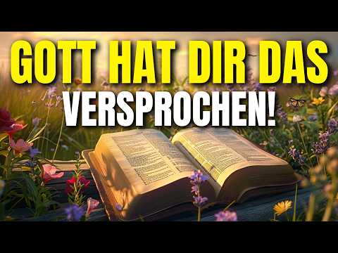 Gesegneter Morgen: Drei göttliche Verheißungen für dich