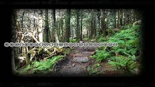 Be'lakor - An Ember's Arc (with Lyrics)