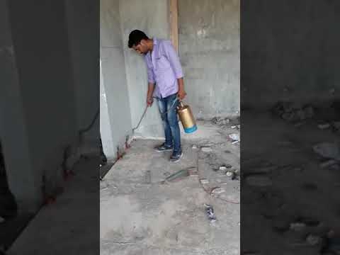 Monthly Residential Pest Control Service, in Delhi
