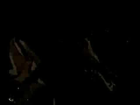 download lagu mp3 mp4 Human Zoo Precious Time, download mp3 Human Zoo Precious Time free downloadn, video klip Human Zoo Precious Time