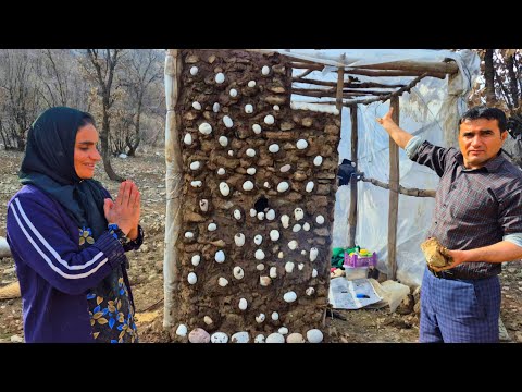 Building an incredible shelter for a homeless mother... then something shocking happens