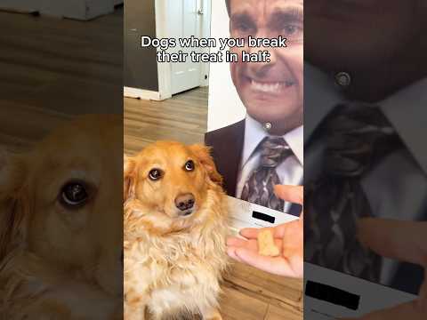 Elle a vraiment coupé chaque oreo en deux