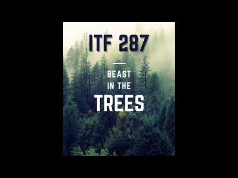 iTF 287: Beast in the Trees