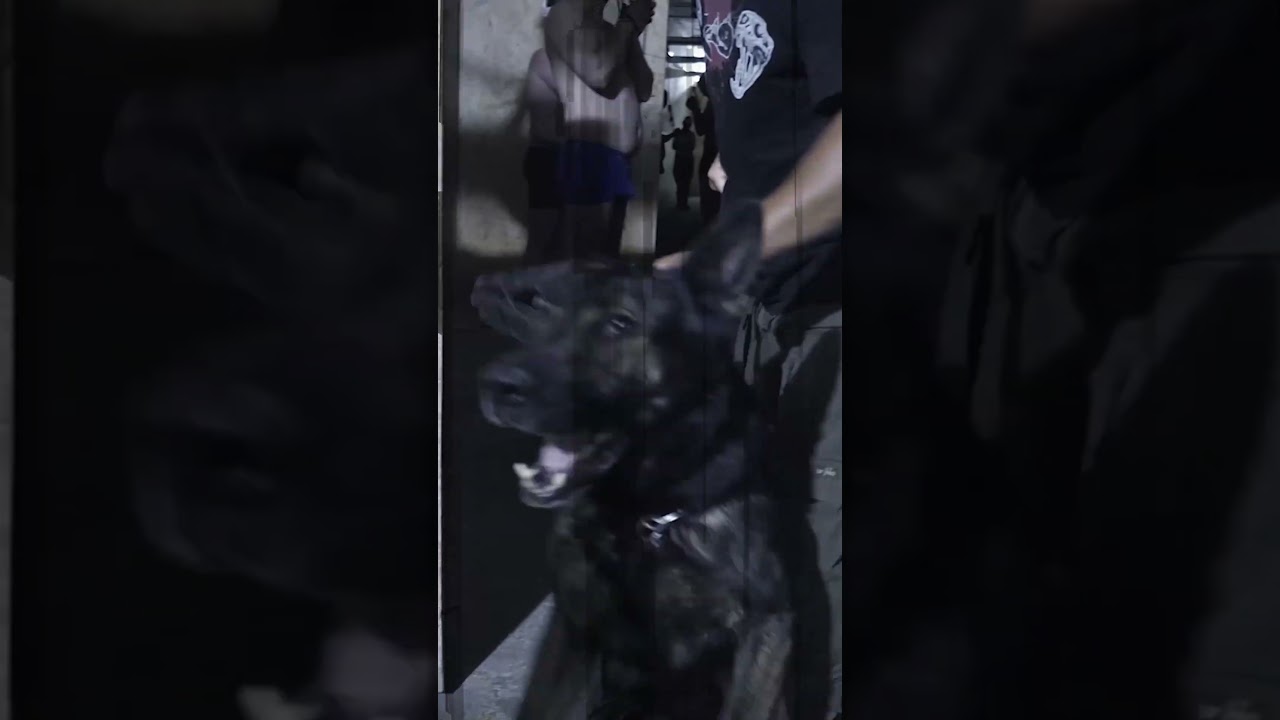 Capture: 24 hours | Knowledge can save lives! #tca #learntoprotect #capture #knowledge #whack