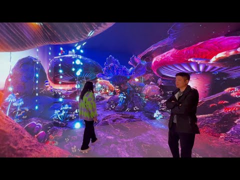 CAVE immersive experience area