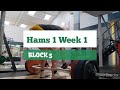 DVTV: Block 5 Hams 1 Wk 1