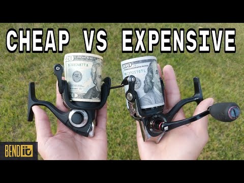 The Difference Between CHEAP and EXPENSIVE Fishing Reels- Explained