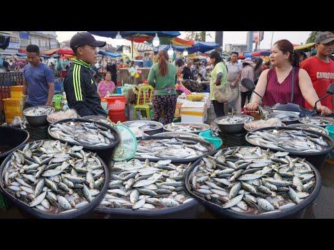 Chbar Ampov Fish Market Scene In The Morning - Plenty Alive Fish, Dry Fish, Fresh Seafood & More