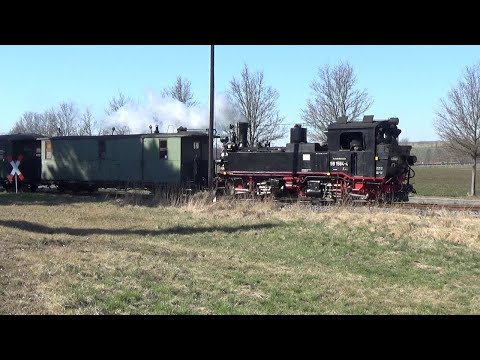 Dampfzugfahrten auf der Döllnitzbahn (Wilder Robert) März 2022