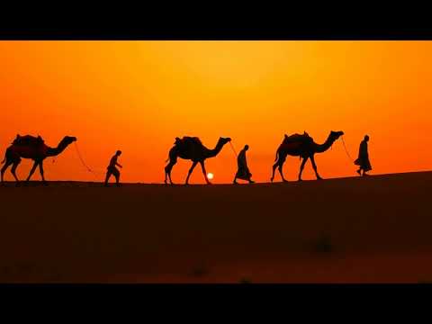 ⚡️ No Copyright cameleers camel drivers at sunset thar desert on sunset jaisalmer rajasthan india