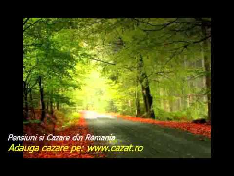 Cazare Zece Hotare, Bihor - Cazat.ro