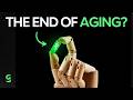 Why Humans Will Break The Limits Of Life Expectancy