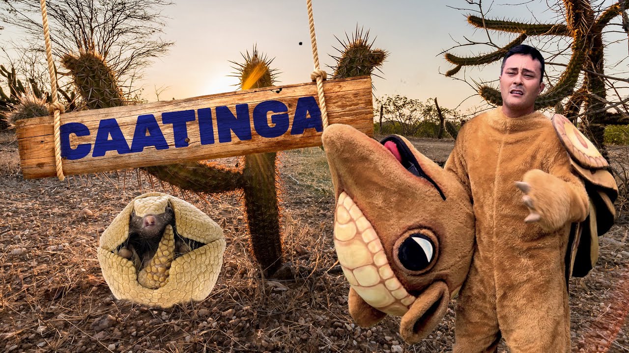 Caatinga | Biomas do Brasil | Ep.6