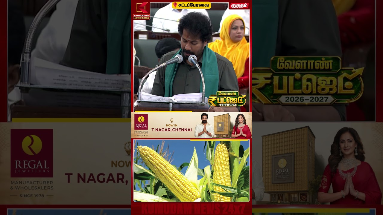 மக்காச்சோள விவசாயிகளுக்கான செய்தி | Agriculture Budget | #shorts