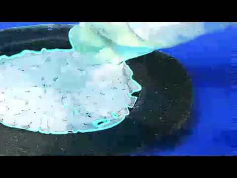 【﻿ｗ　ｚｙｃｉｕ　ｍａｍ　ｓａｍｅ　ｓｔｒａｔｙ】