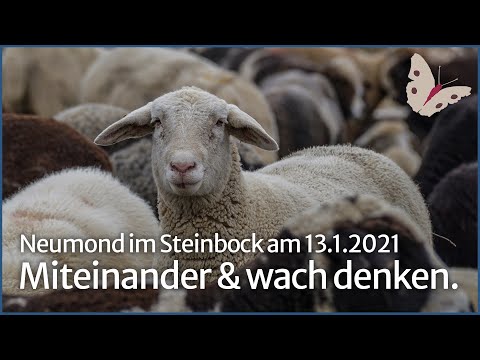Miteinander & wach denken • Neumond am 13.1.2021 im Steinbock • Zeitqualität • Ilona Krämer