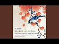 Das Lied von der Erde: V. Der Trunkene im Frühling