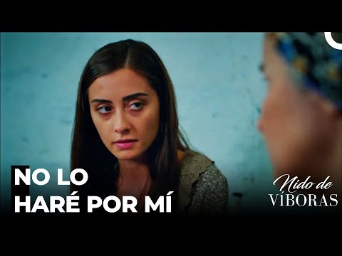 Elvan Acepta Casarse Con Feyyaz - Nido De Víboras Capitulo 25 (Dobladas en Español)