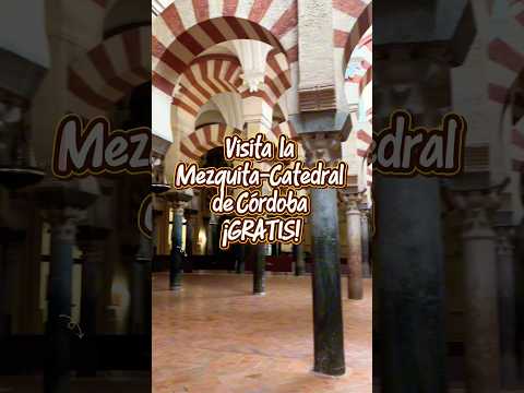 Visita GRATIS la Mezquita de Córdoba #shorts #cordobaespaña #shortsyoutube  #fyp #traveltips #spain
