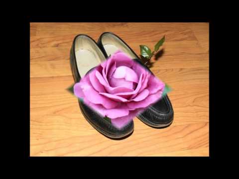 Wee Baby Blues  -  Mojo Blues Band