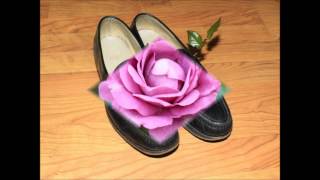 Wee Baby Blues  -  Mojo Bues Band